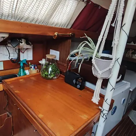 Sailboat Land And Sea, Vegetated *