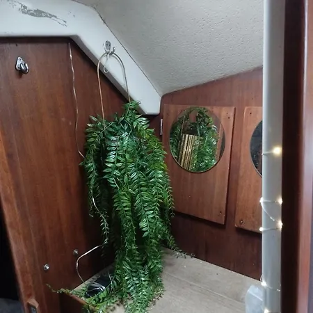 보트호텔 Sailboat Land And Sea, Vegetated *