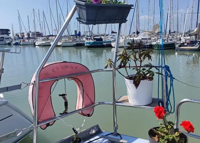 Sailboat Land And Sea, Vegetated