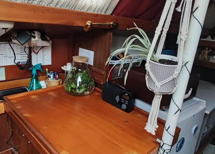 Sailboat Land And Sea, Vegetated *