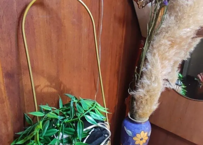 Botel Sailboat Land And Sea, Vegetated La Rochelle (Charente-Maritime)