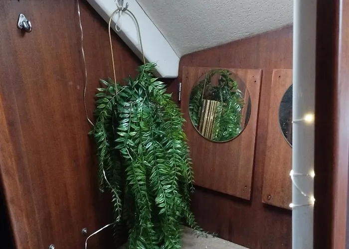 Botel Sailboat Land And Sea, Vegetated *